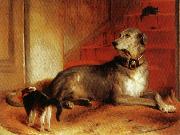 Sir edwin henry landseer,R.A. Lady Blessingham's Dog oil painting